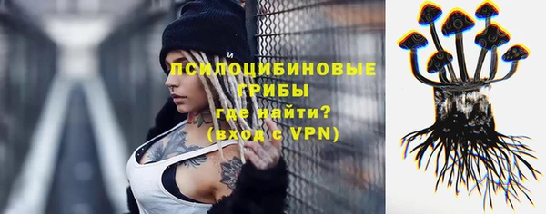 дживик Аркадак
