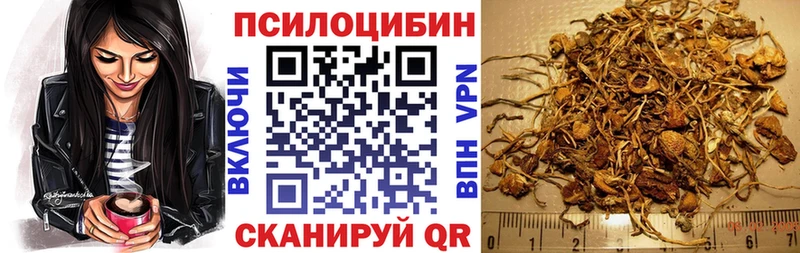 Галлюциногенные грибы GOLDEN TEACHER  где продают наркотики  ОМГ ОМГ вход  Борзя 
