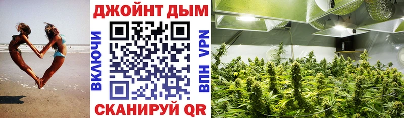 Канабис Amnesia  дарк нет клад  Борзя 
